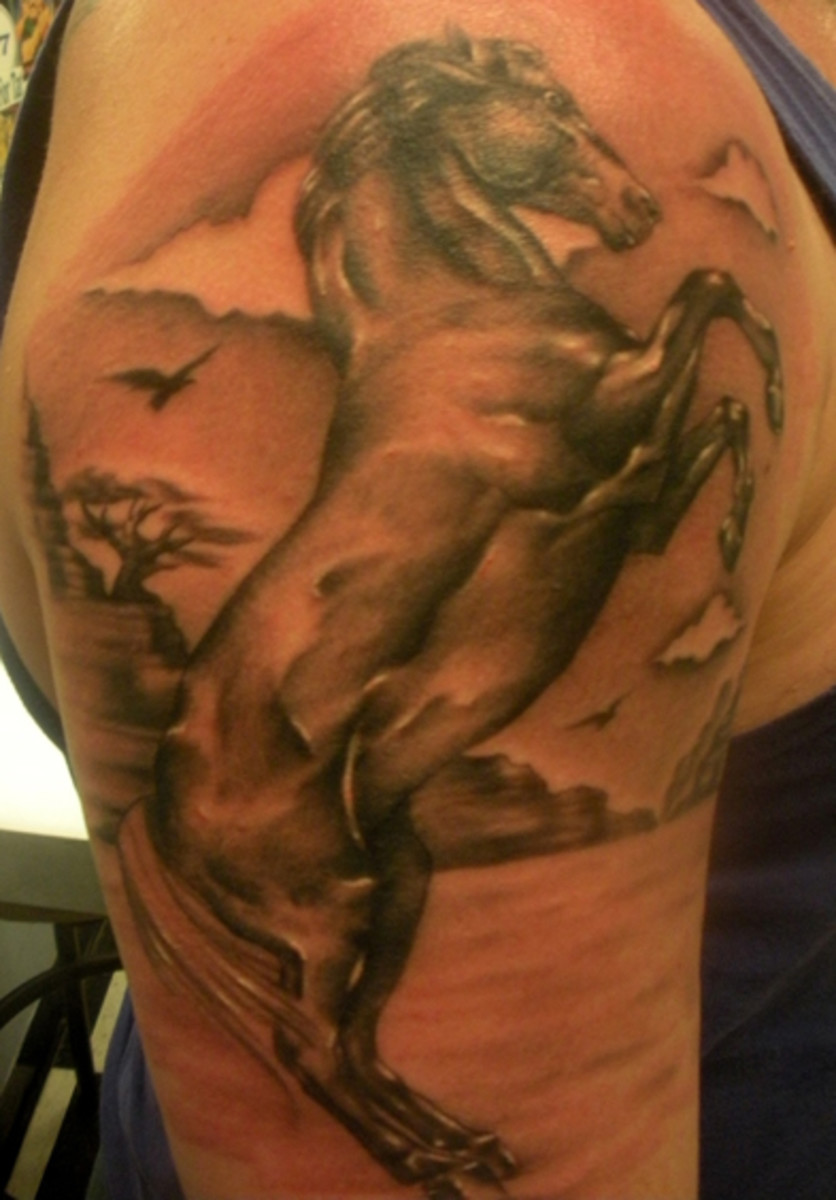 Stallion and Horse Tattoos