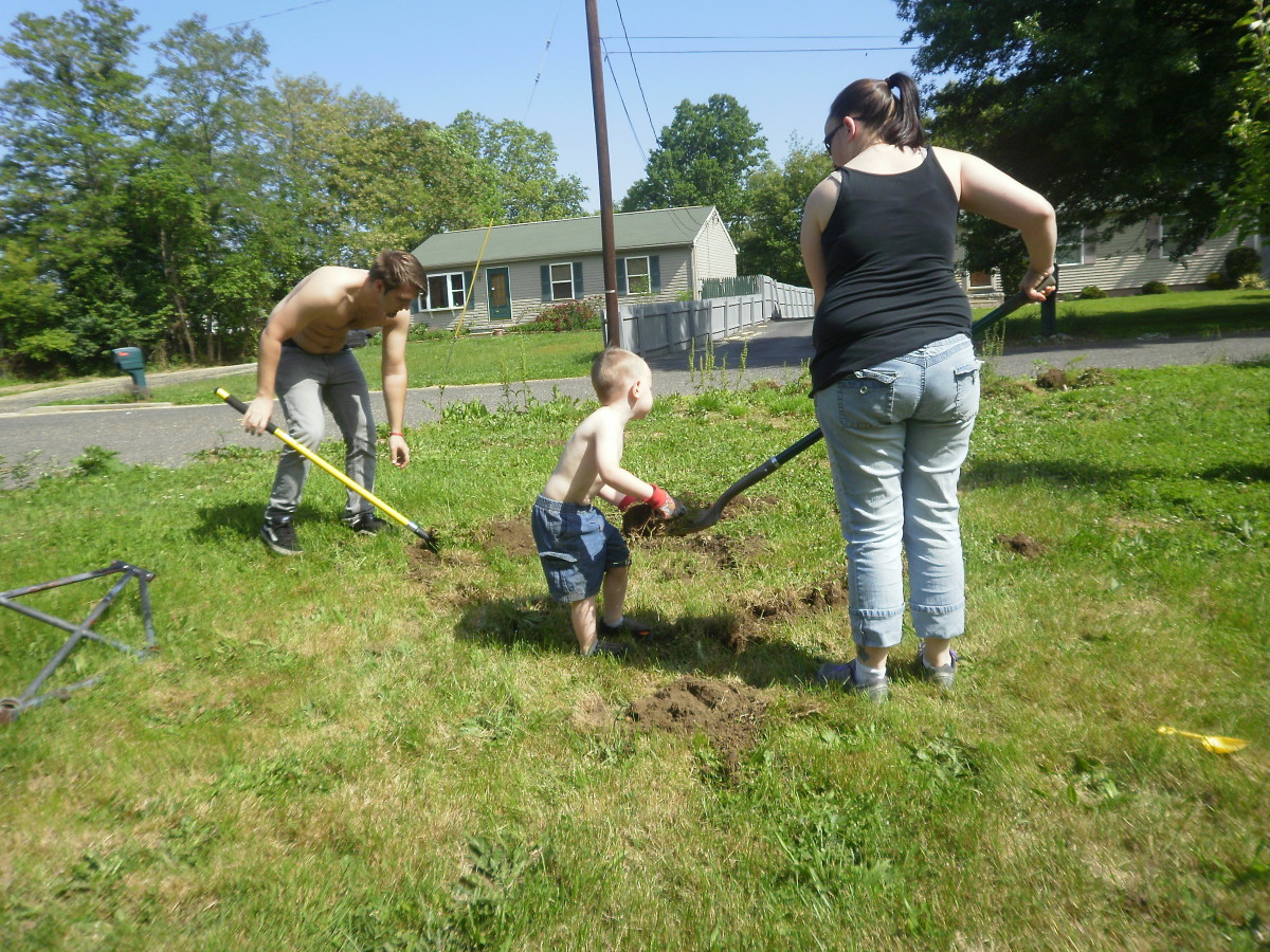 For last Mother's Day, my isster's children made it a family project to plant a new apple tree for her in her yard.