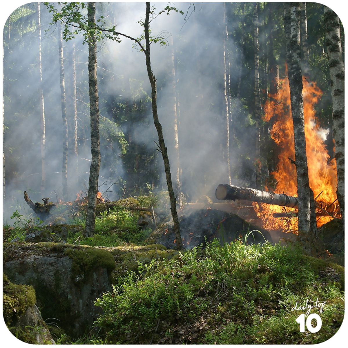 Forest fires are very hard to control even with all our modern fire-fighting methods and equipment.