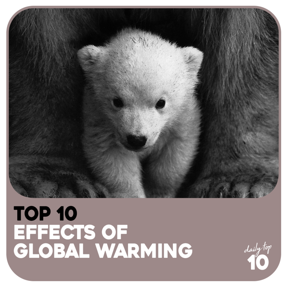 Top 10 Worst Effects Of Global Warming And What We Can Do To Stop Them 