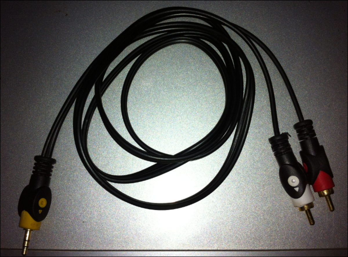 An RCA - mini plug audio cable.