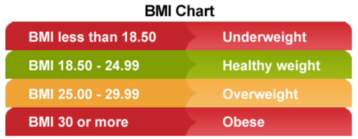 What Is BMI? With Charts and Posters - HubPages