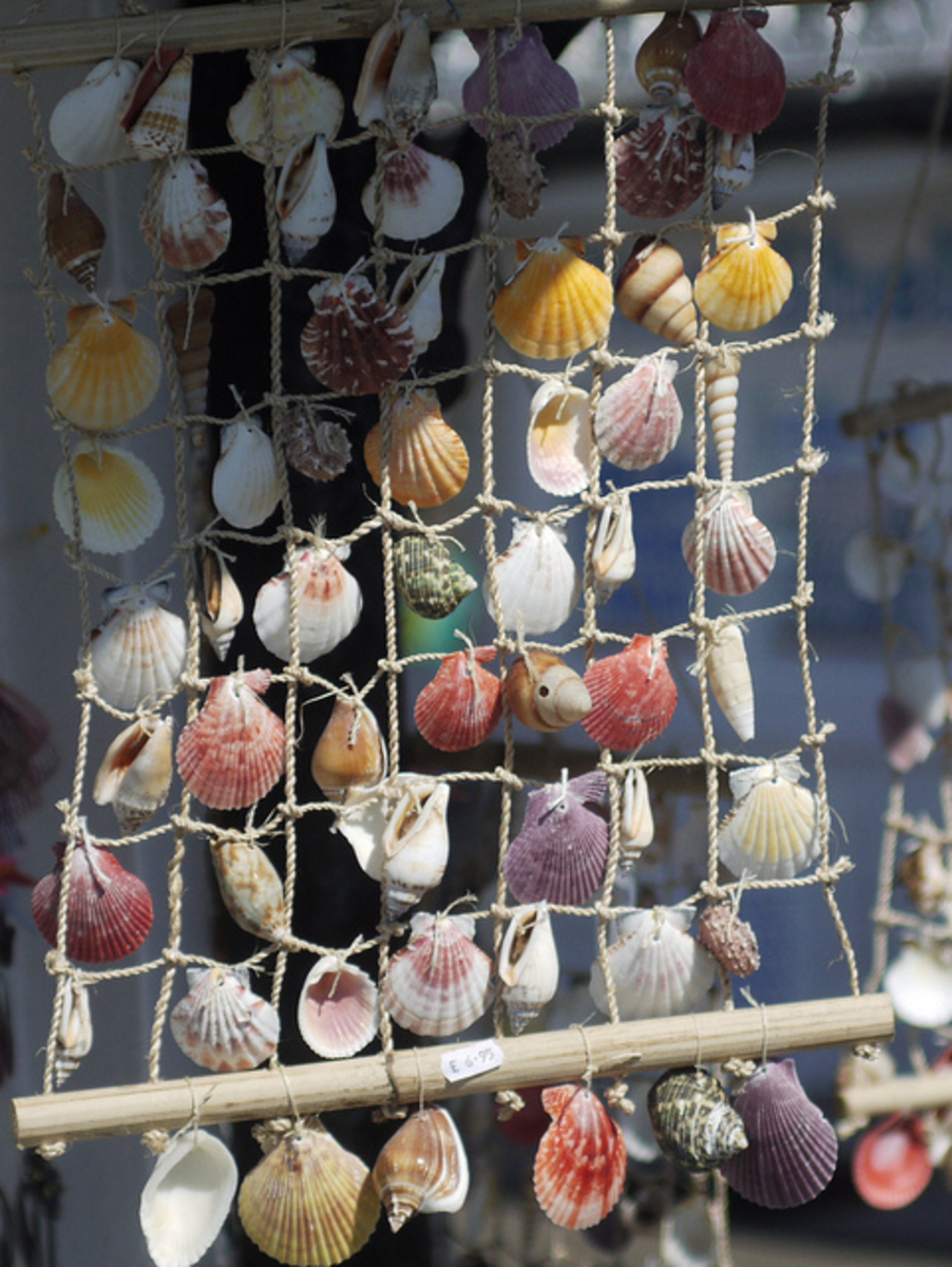 homemade-beach-craft-ideas-diy-driftwood-projects-shells