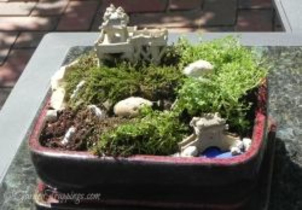 make-your-own-table-top-mini-gardens
