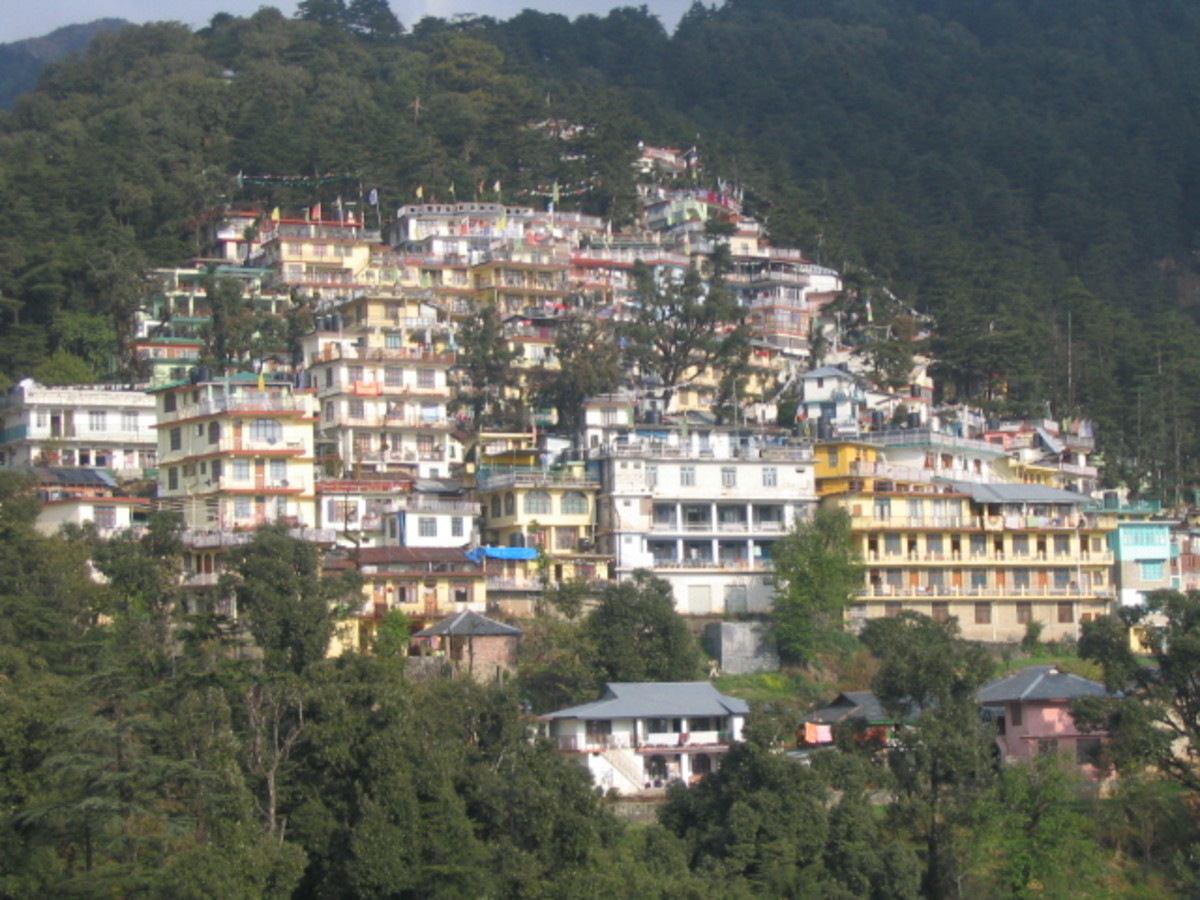 dharamshala-hill-resort