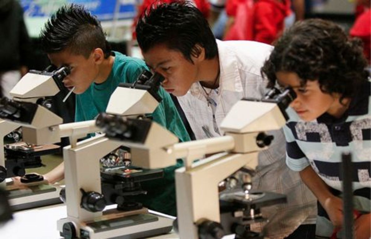 Project Based Learning Science - Lesson Plans for PBL - HubPages