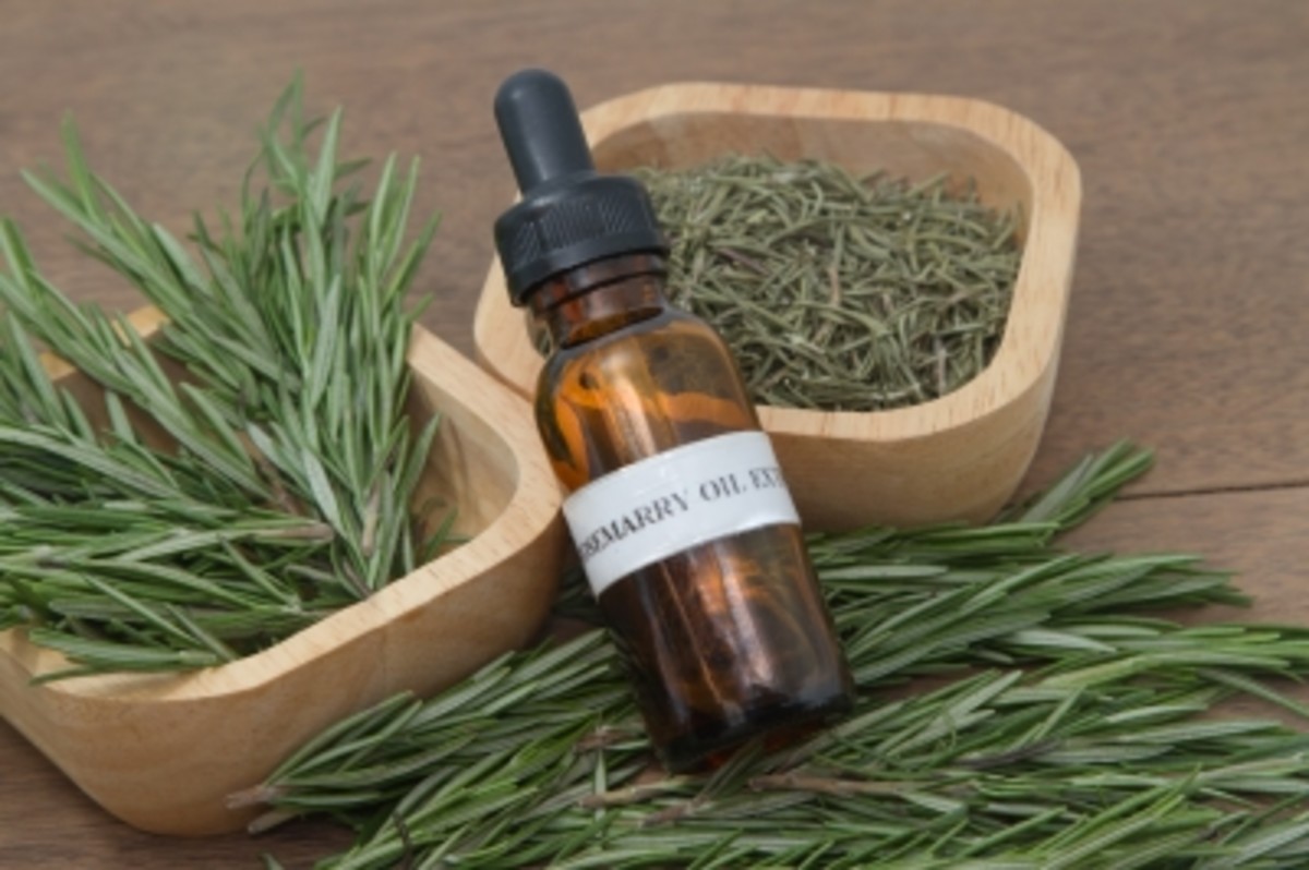 rosemary has a unique, mesmerizing and  intoxicating aroma 