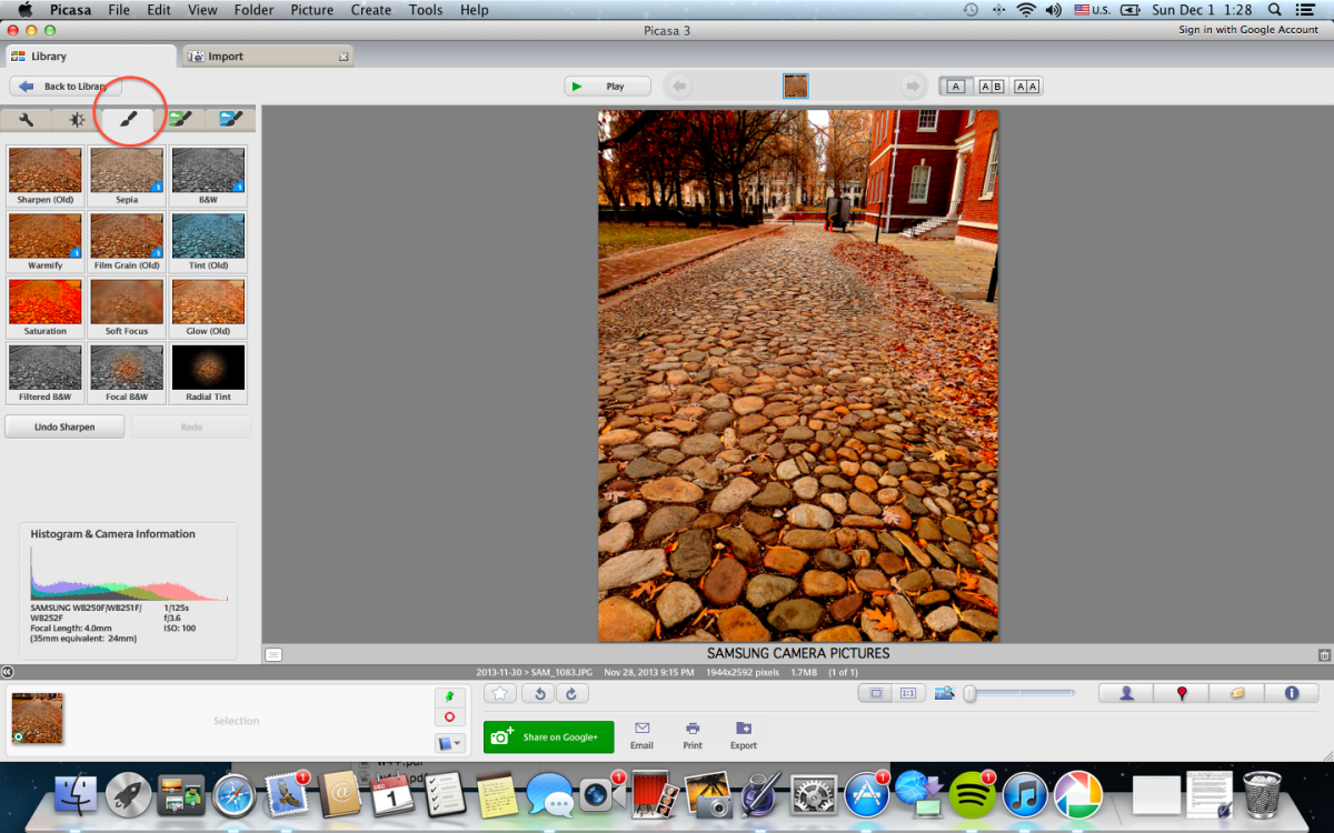how-to-make-a-mediocre-photo-come-alive-with-picasa