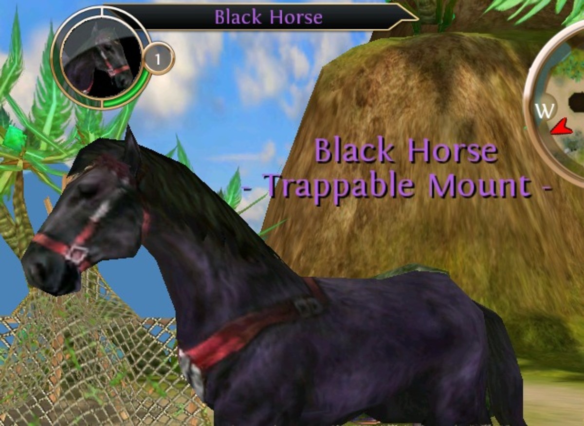 Black Horse Spawn East of Fallen Star Straight in the Whispering Islands on the game Order and Chaos Online. 