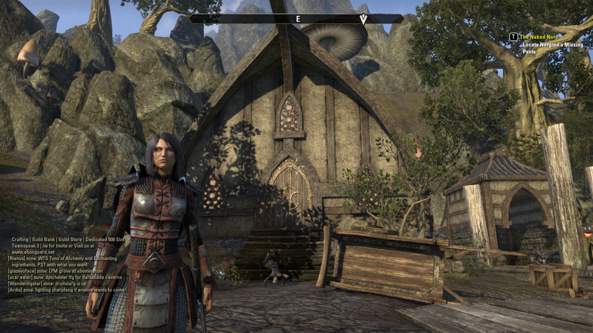 The Elder Scrolls Online Walkthrough - Narsis: The Naked Nord, You Have to  Break a Few - HubPages