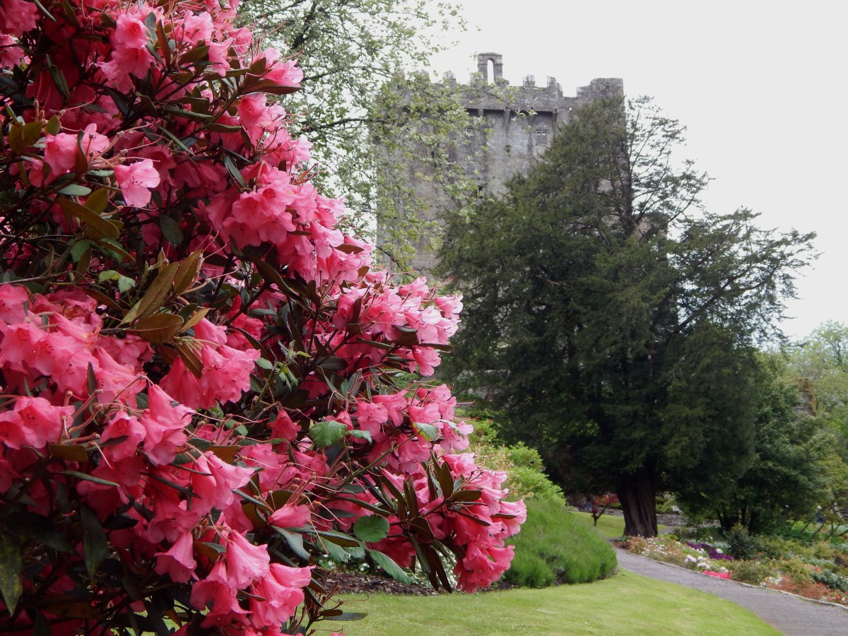 the-magic-of-blarney-castle