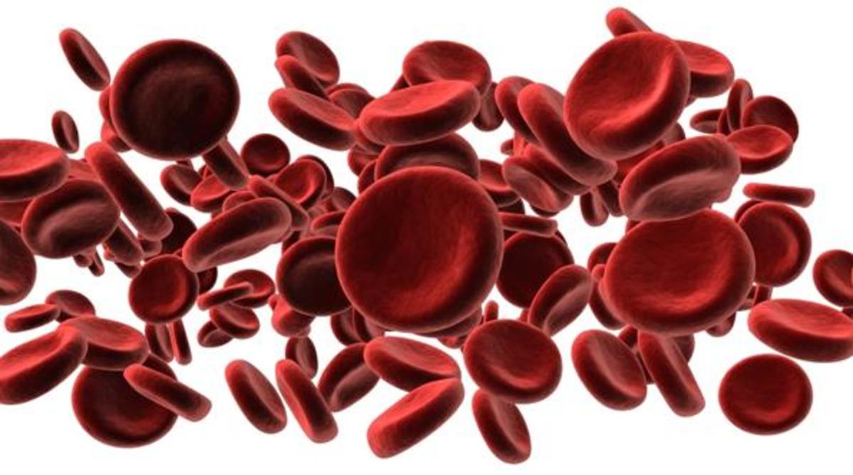 Thalassemia is a preventable disease