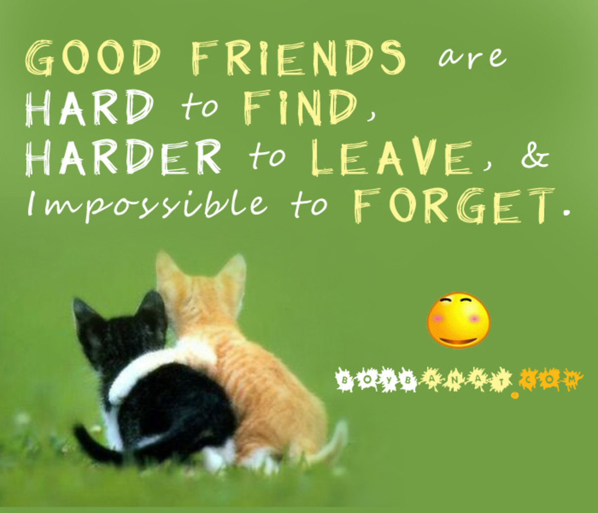 quotes-about-friendship-friendship-quotes