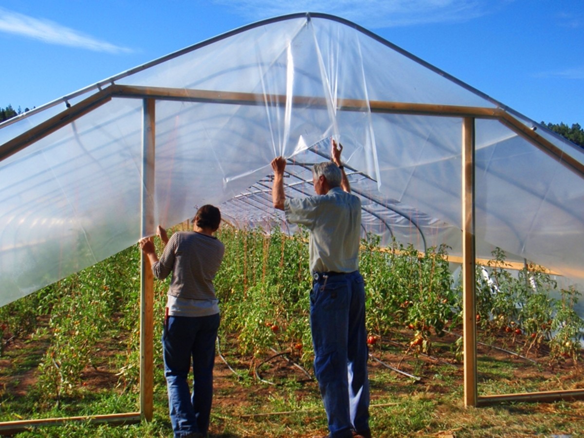 Homemade Greenhouse Ideas - HubPages, image size:1200x900