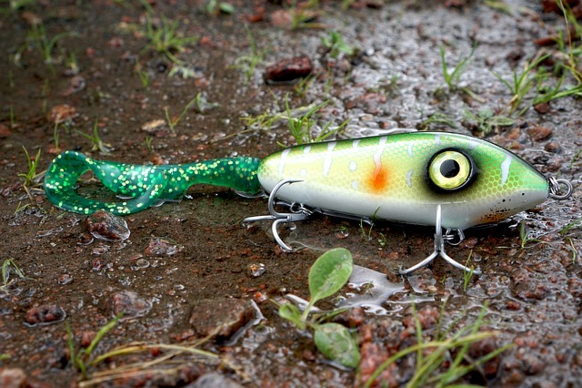 Real live bait or artificial lures may be used in fishing. 