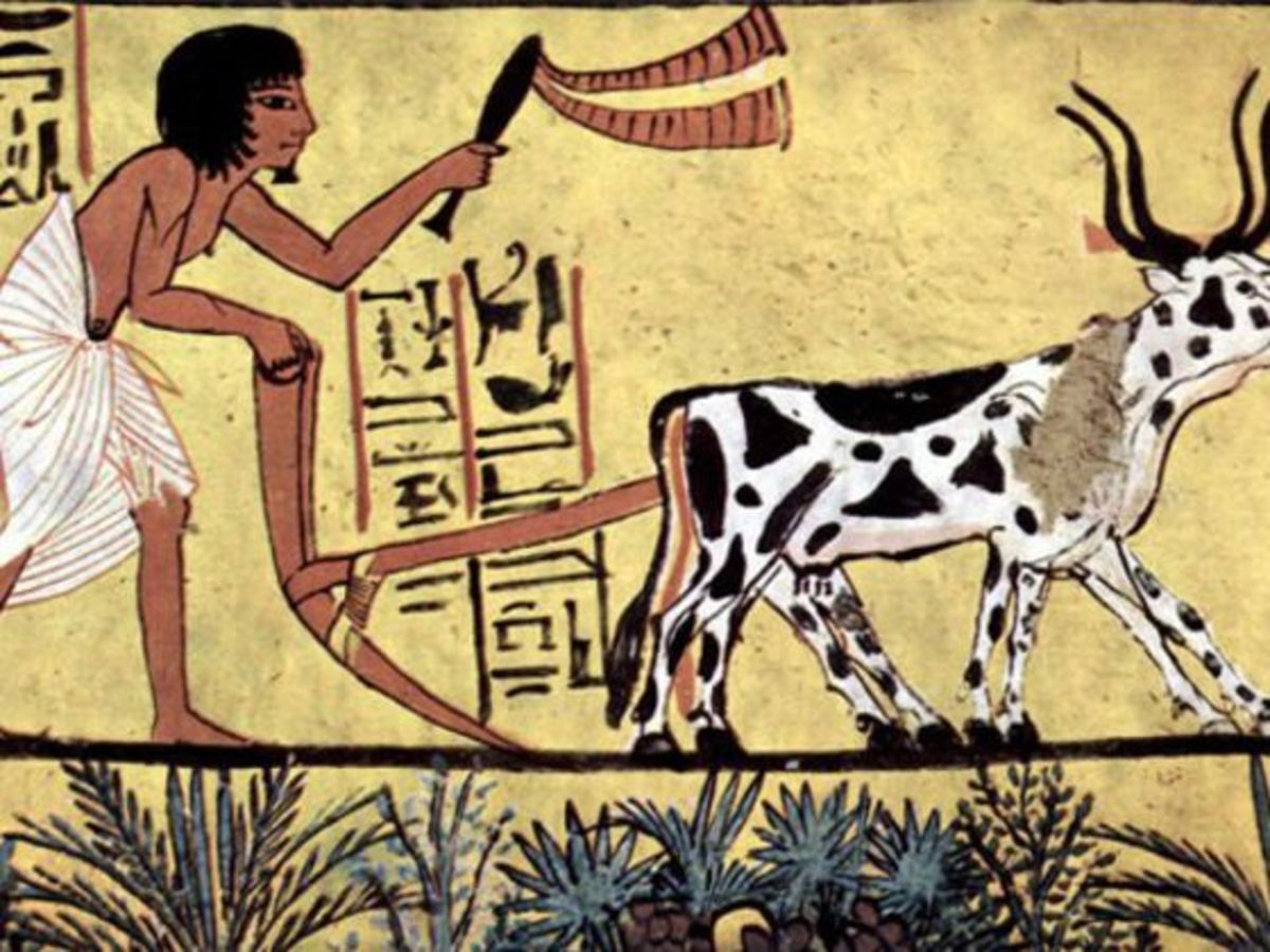                 Farming in ancient Egypt
