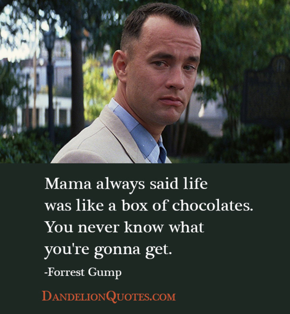 Quote from Forrest Gump