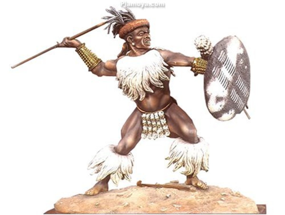 Zulu warrior 