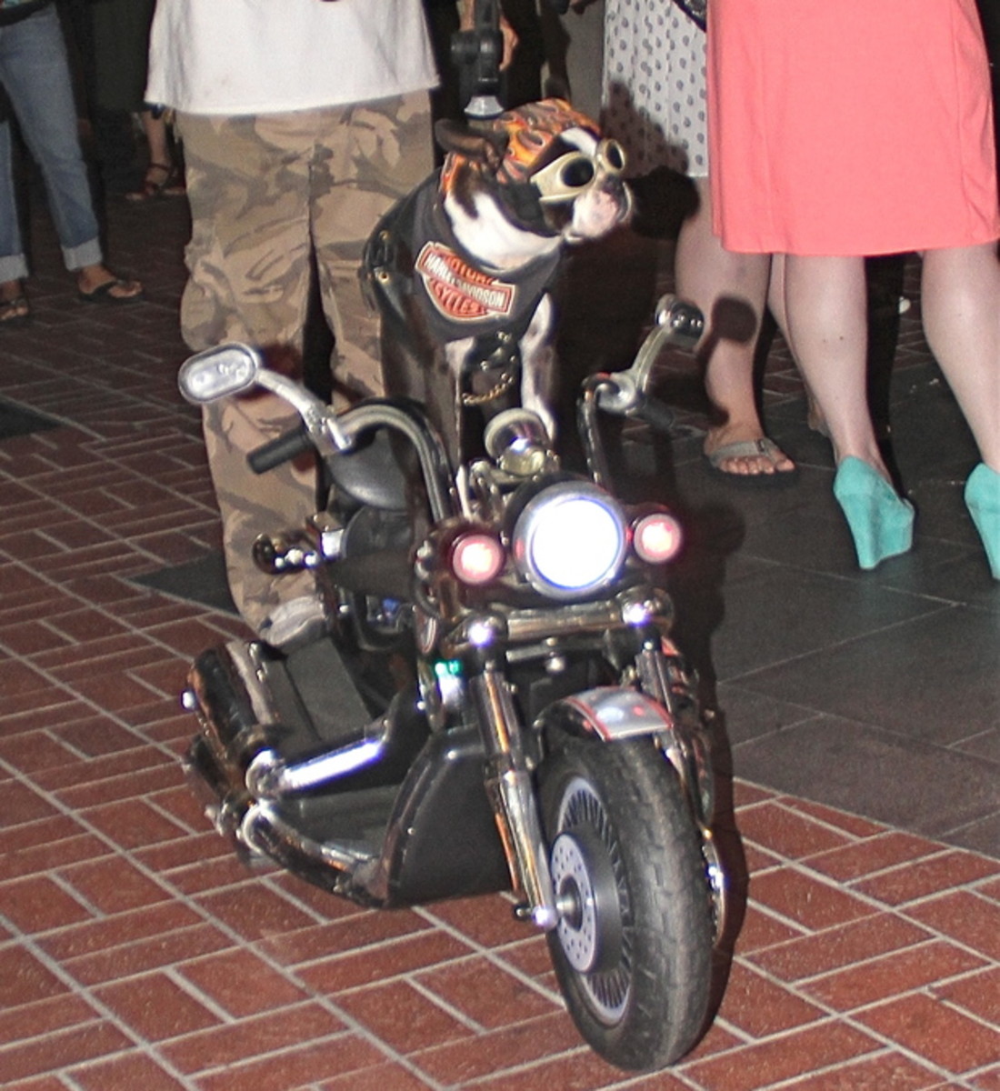 biker-chick-costume
