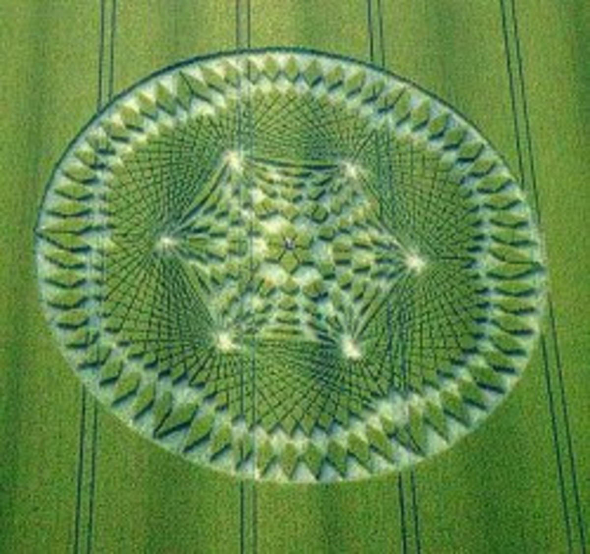 The Mystery Of Crop Circles
