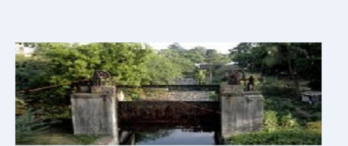 The bridge over Adyar canal