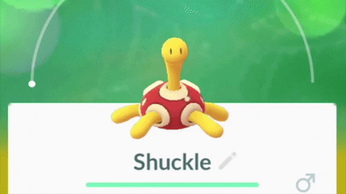 Pokemon Go: Shuckle