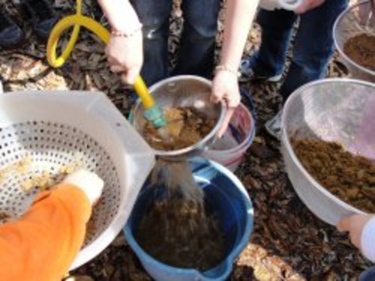 Mining for rocks and minerals using seeded dirt