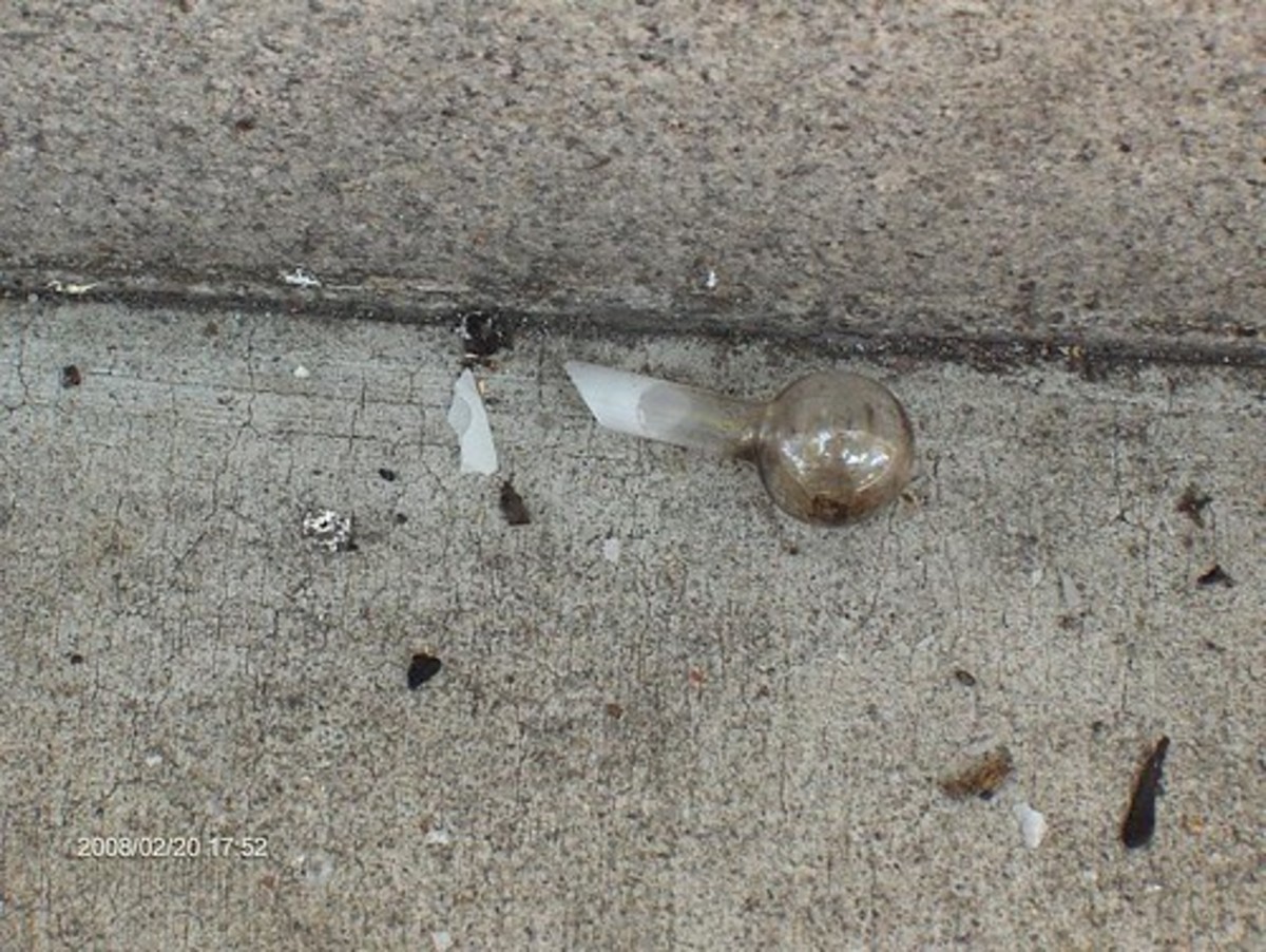 Discarded broken crack pipe.