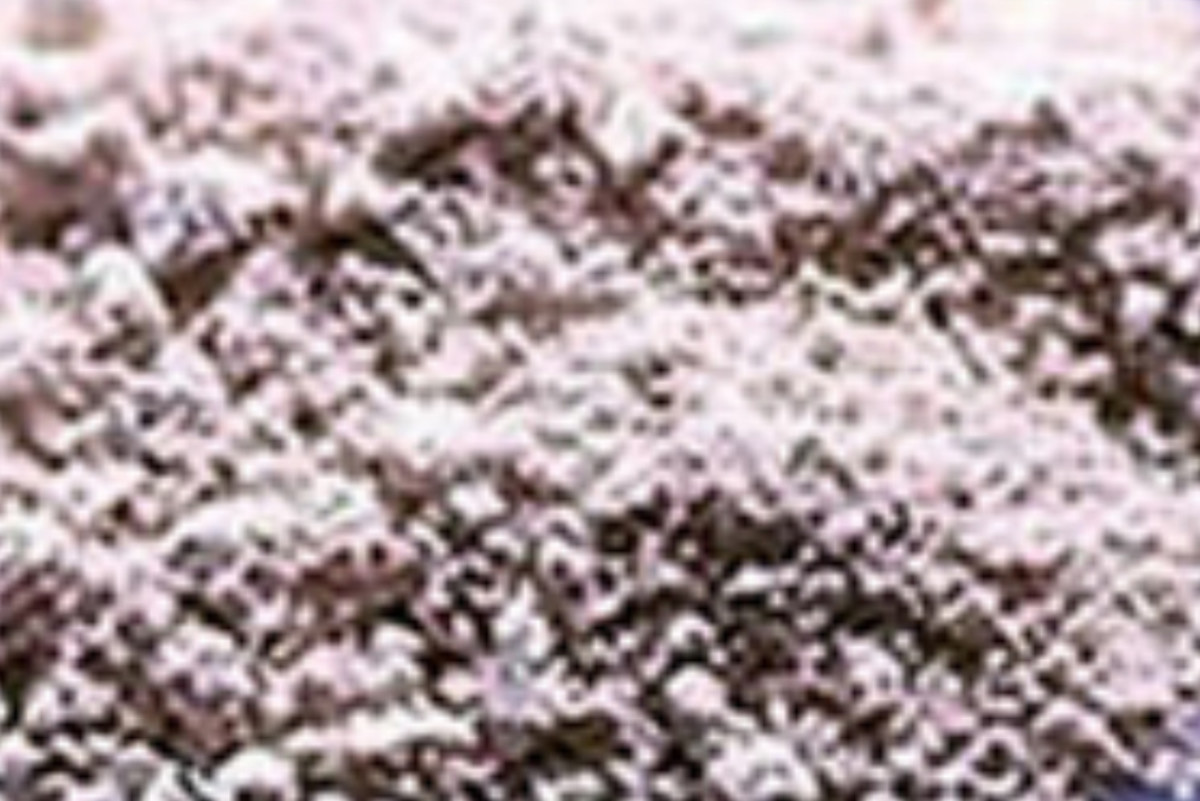 The pink (pink champagne) variety The pink (pink champagne) variety