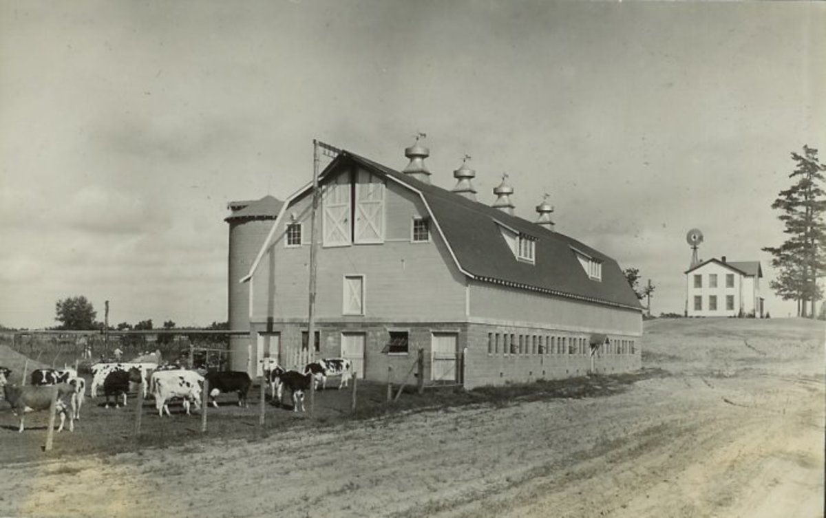 The House of David HubPages