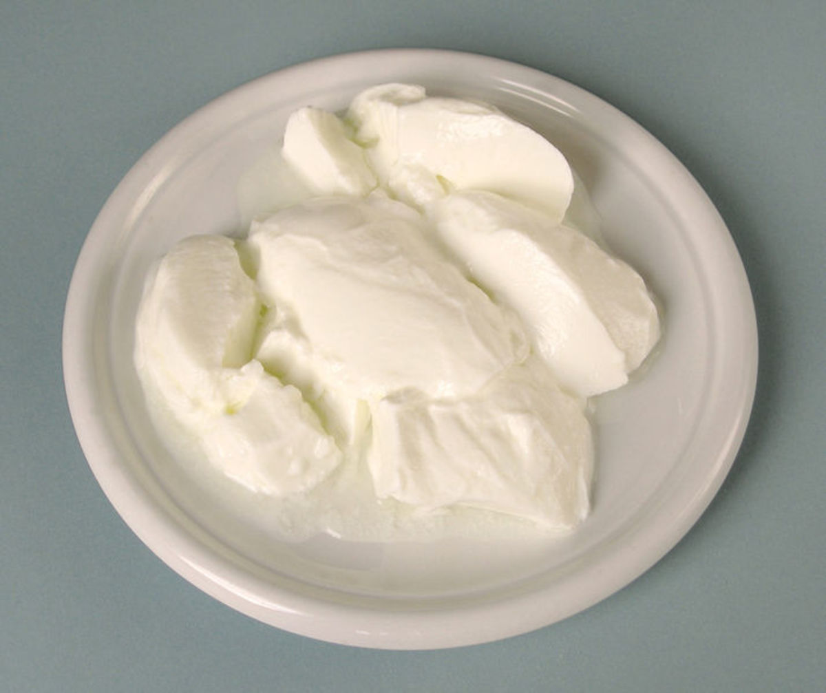 Yogurt.  Photo image by Rainer Zenz, Wikimedia Commons