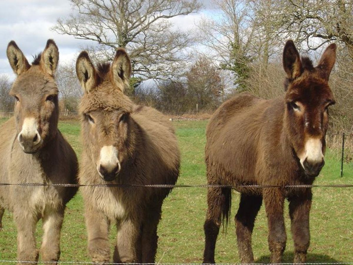 How To Run a Bed and Breakfast In France HubPages