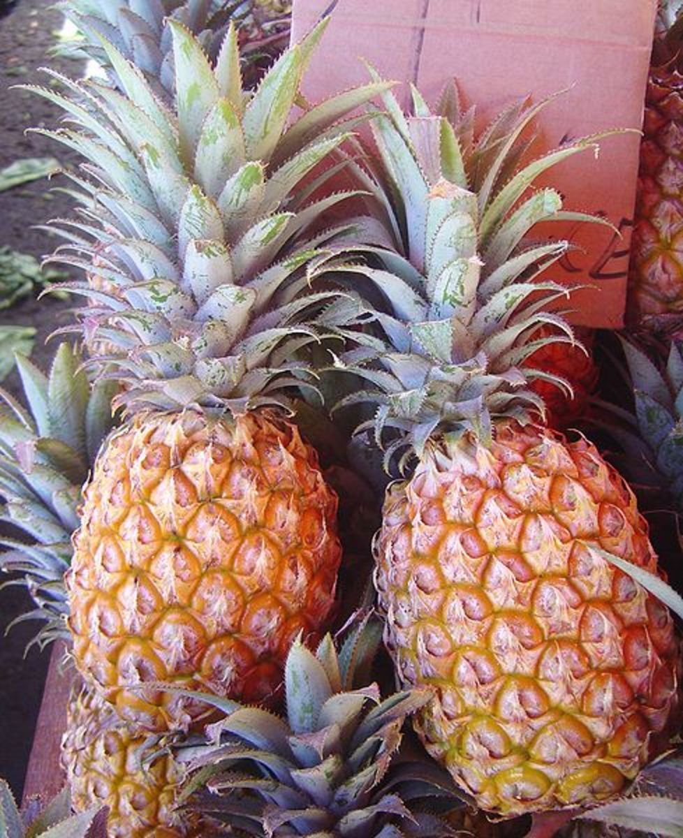 Reducing Inflammation with Proteolytic Enzyme Supplements