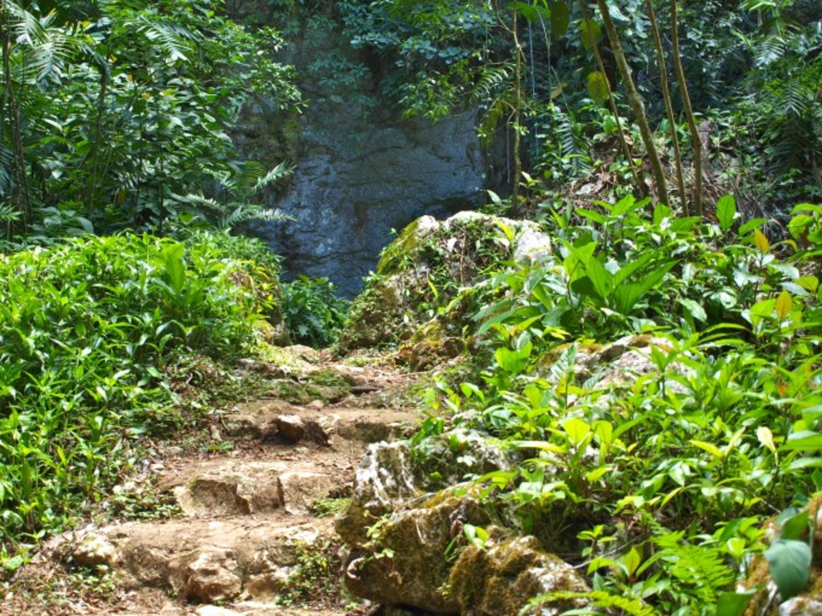 Entrance to St. Herman's Cave, San Ignacio, Belize