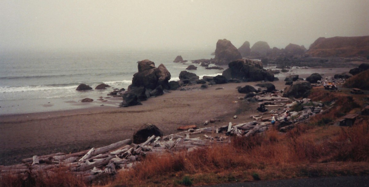 Notice the driftwood that has been washed ashore - Oregon coastline