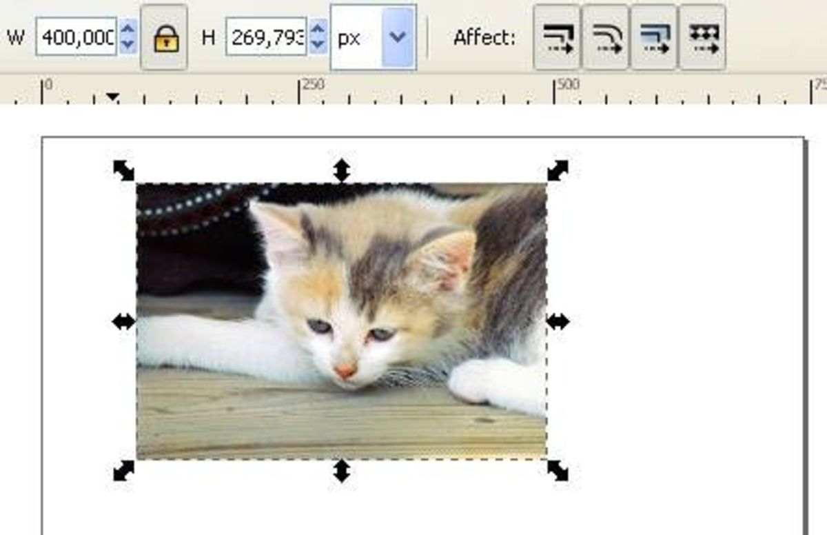 how-to-make-a-photo-with-rounded-corners