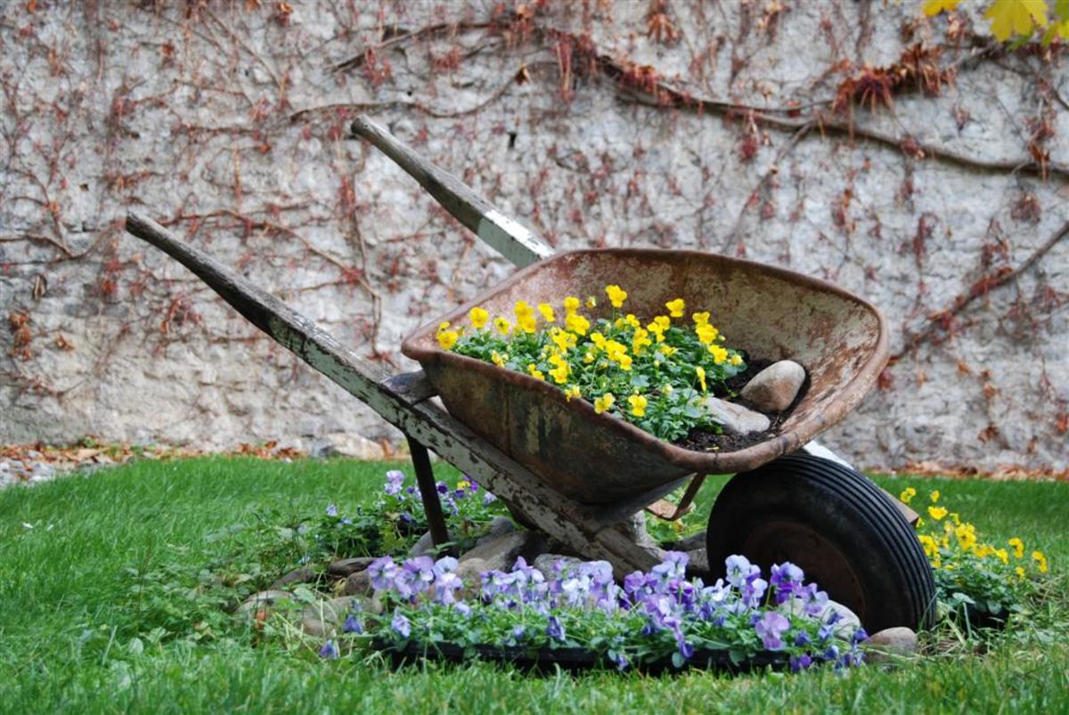 тачка садовая / garden wheelbarrow