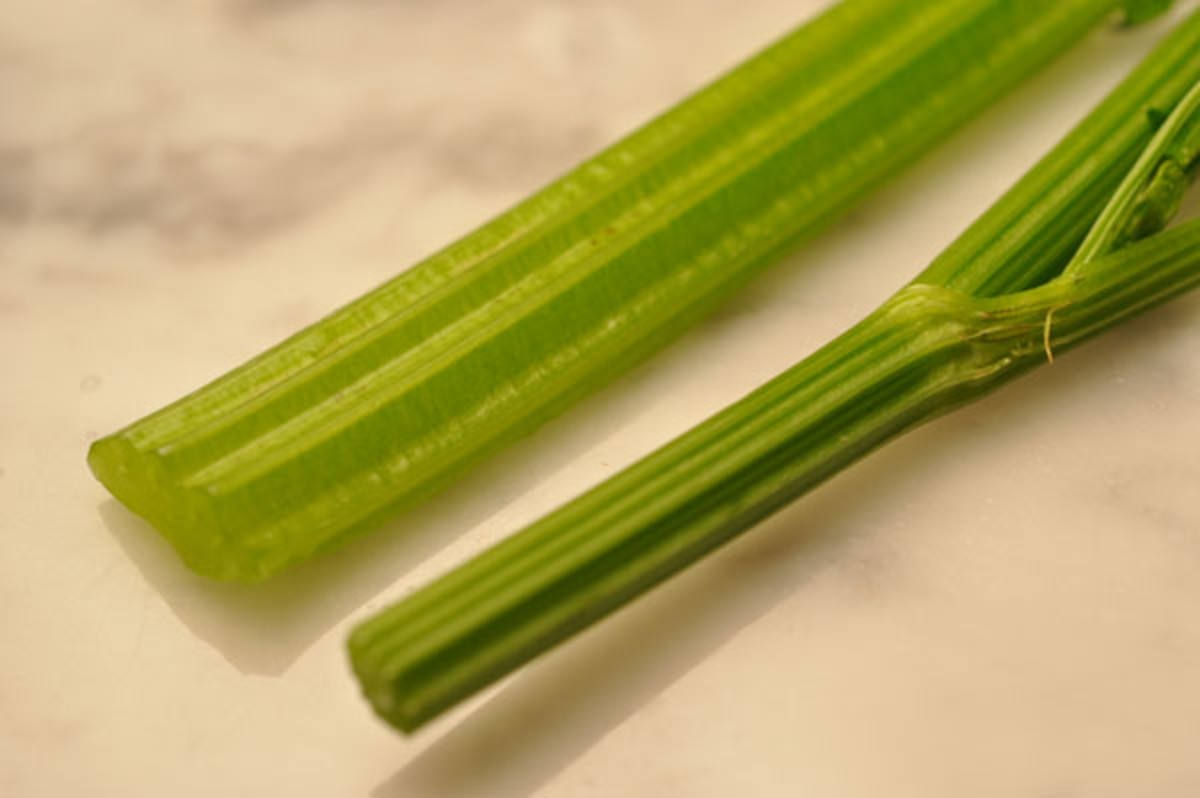 Comparison of Asian & European celery Image: © Siu Ling Hui