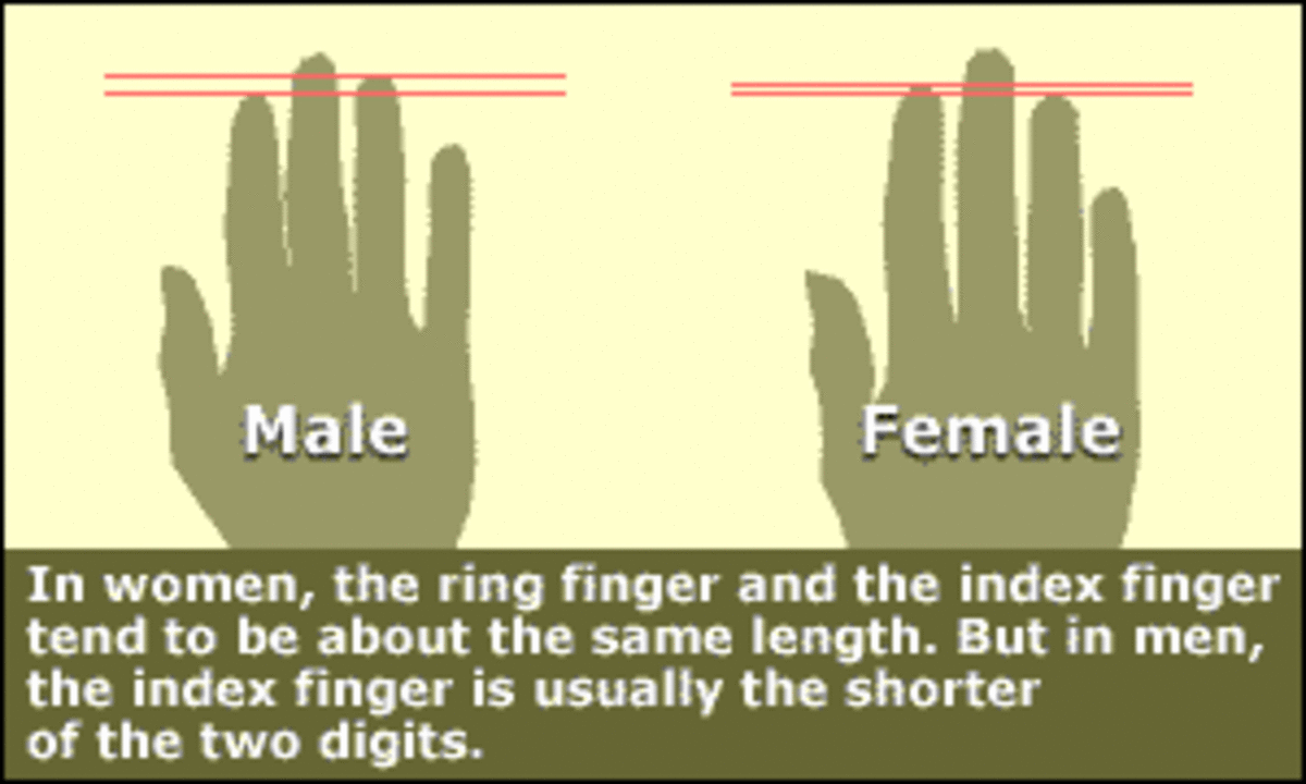 differences in finger lengths between men and women