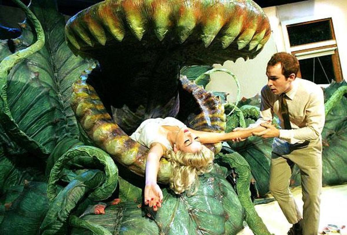 One funny example of carnivorous plants in pop culture, in this case the giant man-eating plant Audrey II of the British play Little Horros Shop