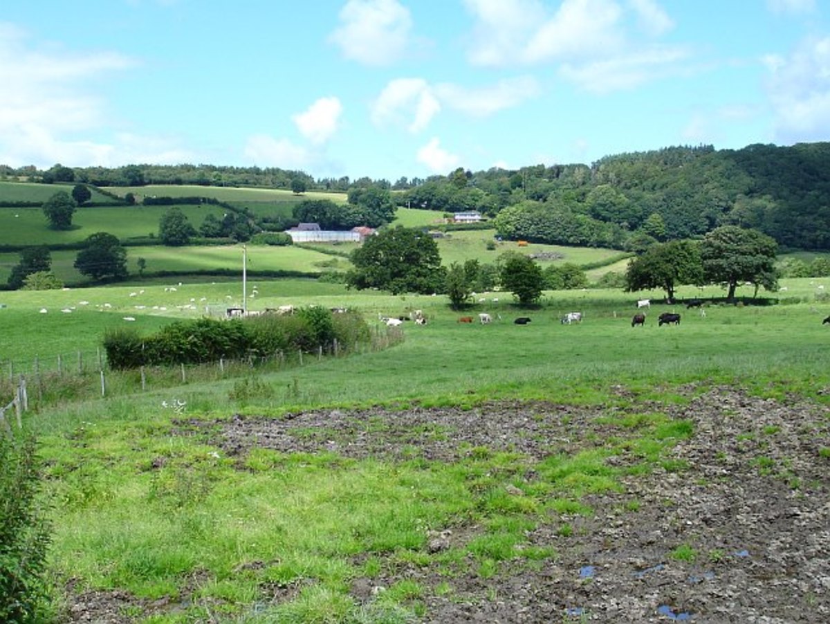 The Possible Site of the Battle of Maes Moydog