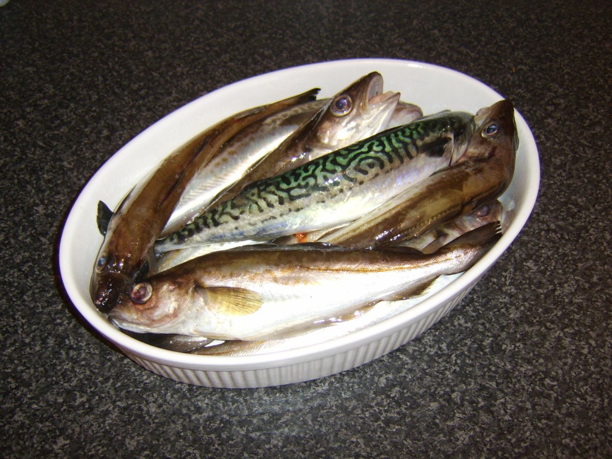 https://images.saymedia-content.com/.image/t_share/MTc2Mjg1MDc5NjU1MDMxOTk4/how-to-make-fish-stock.jpg