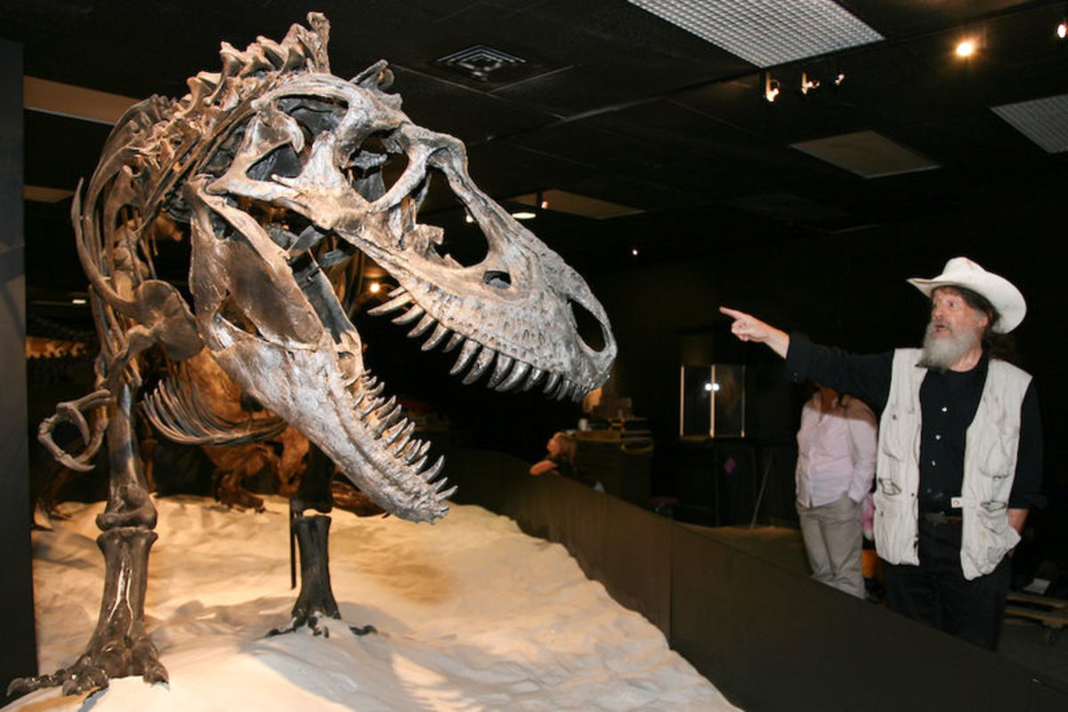 Paleontologist Robert Bakker thinks he knows what really killed the dinosaurs.