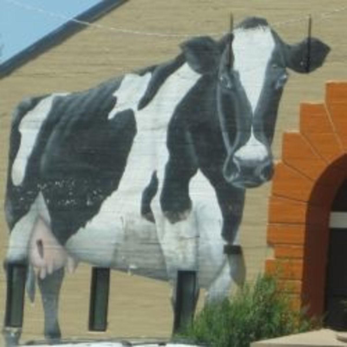 The Flagstaff Furniture Barn / Natural Grocers Big Cow Mural
