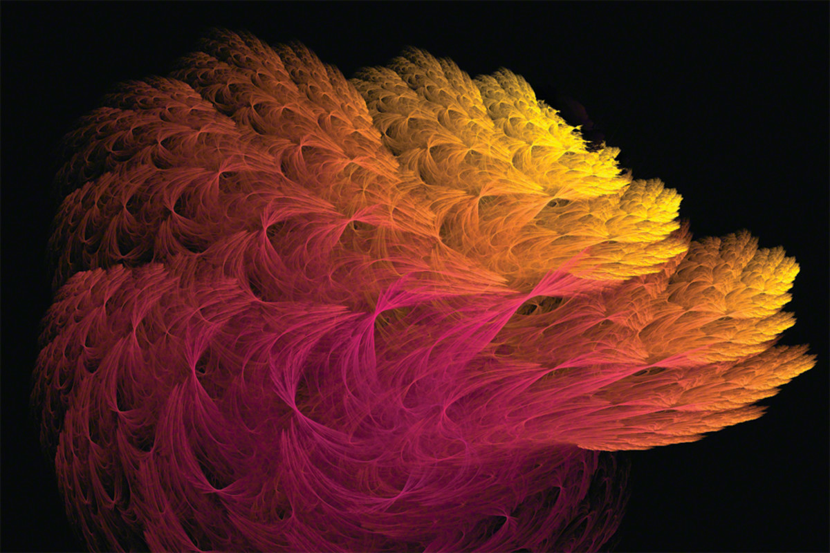 A fractal flame produced in apo
