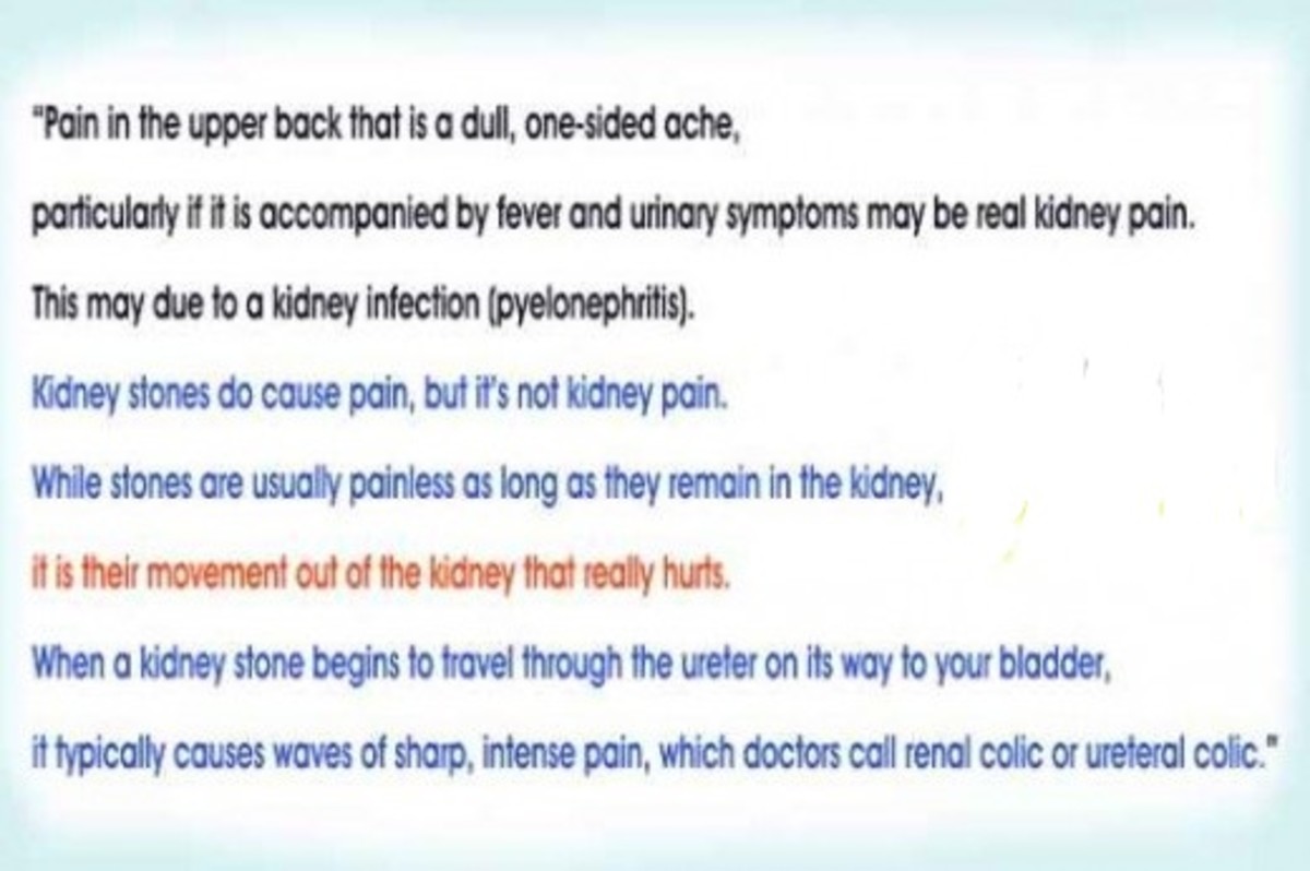 all-about-the-kidney-pain-location-diagnosis-and-treatment