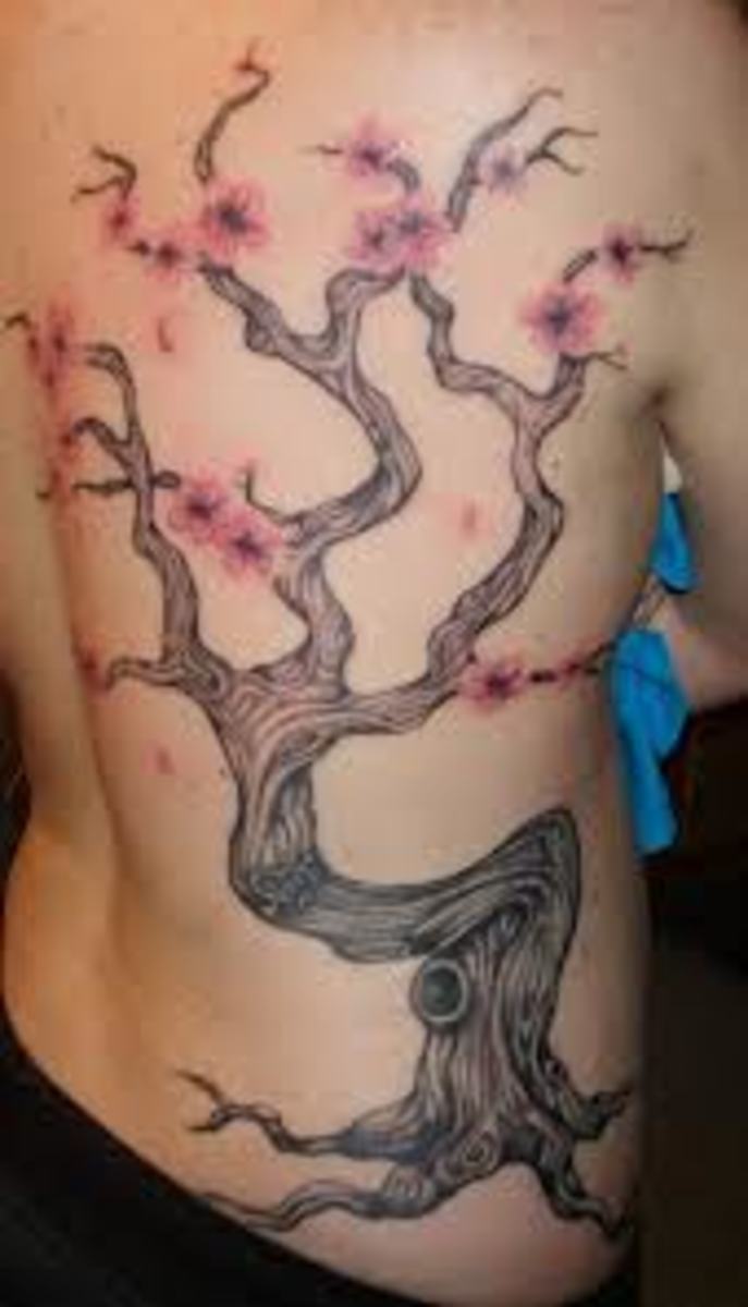 cherry-blossom-tree-tattoo-designs-and-meanings-cherry-blossom-tree-tattoo-ideas-and-pictures