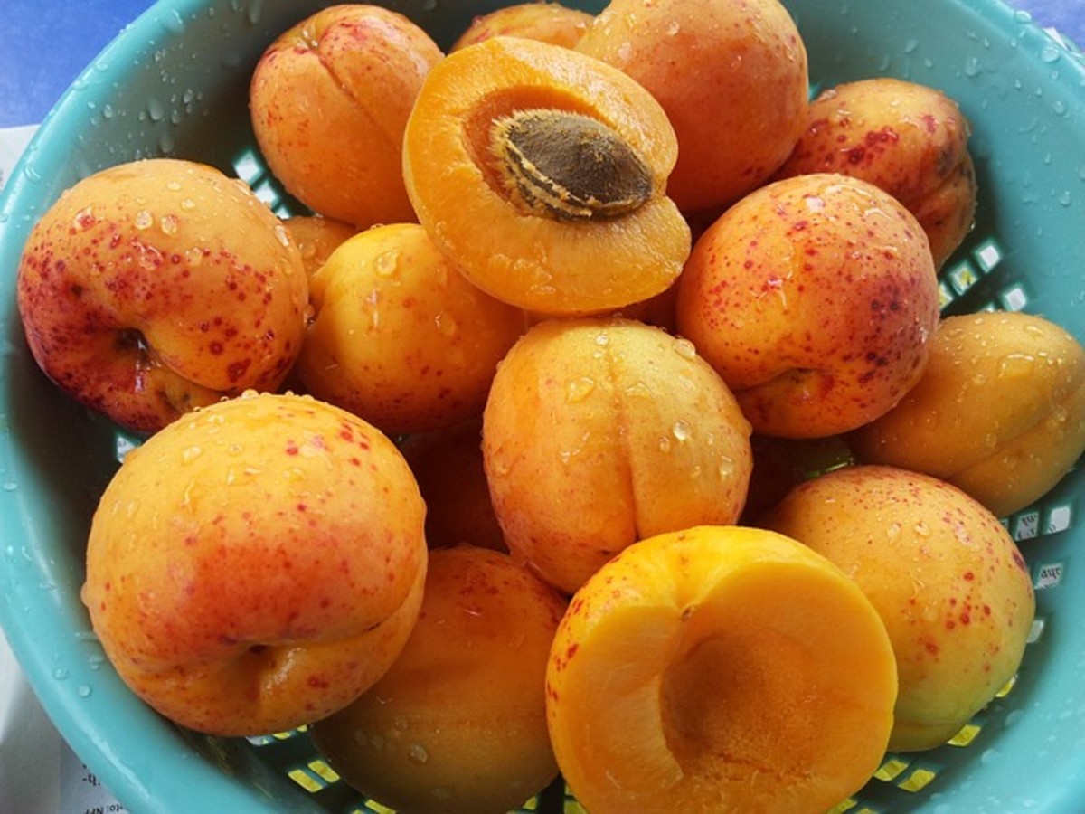 The seeds or kernels from apricots are excellent sources of Vitamin B17. 