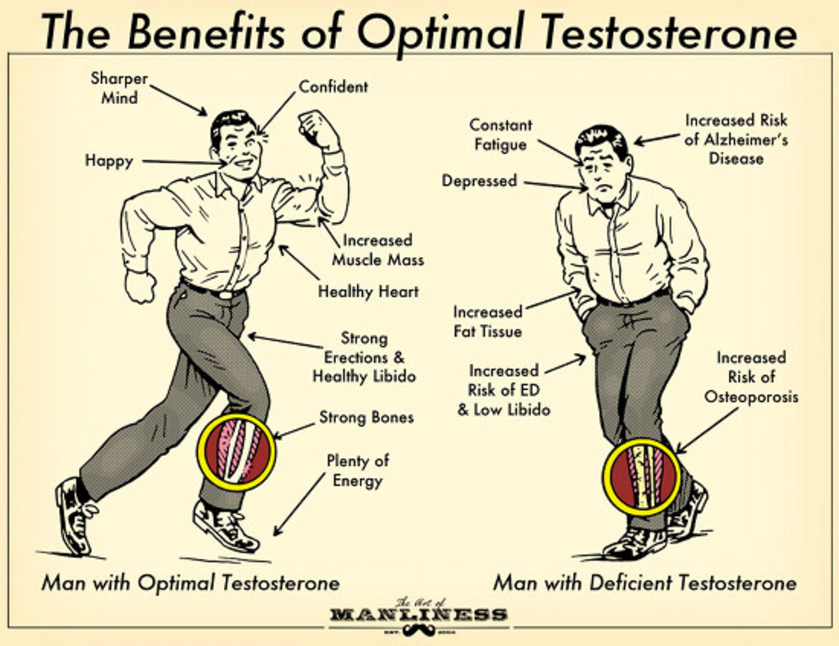 how-testosterone-effects-the-body