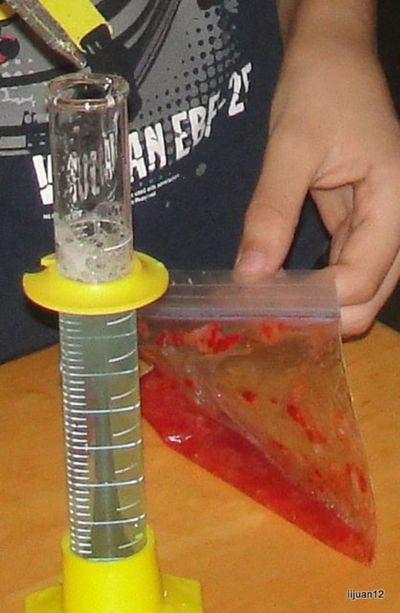 Extracting DNA from a strawberry